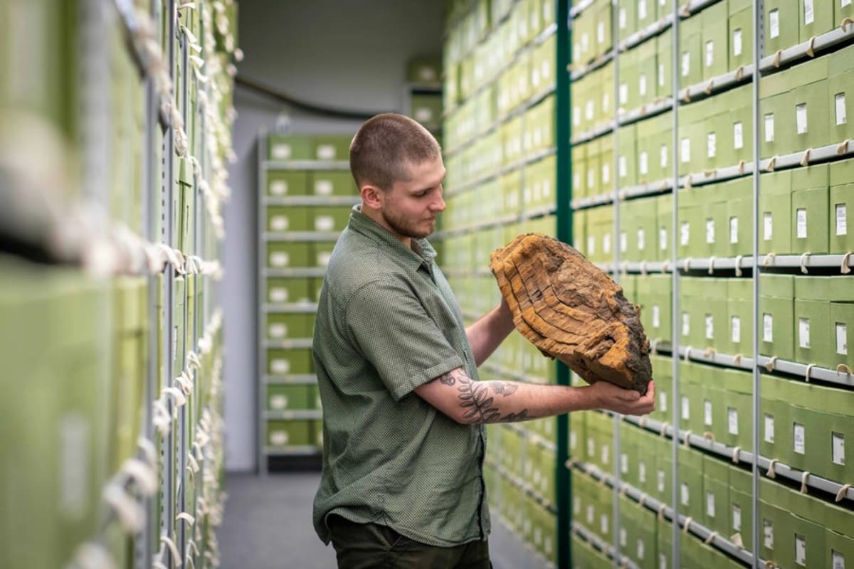 Kew Gardens Digitizes 7.4M Plants for Global Researchers - Image 3