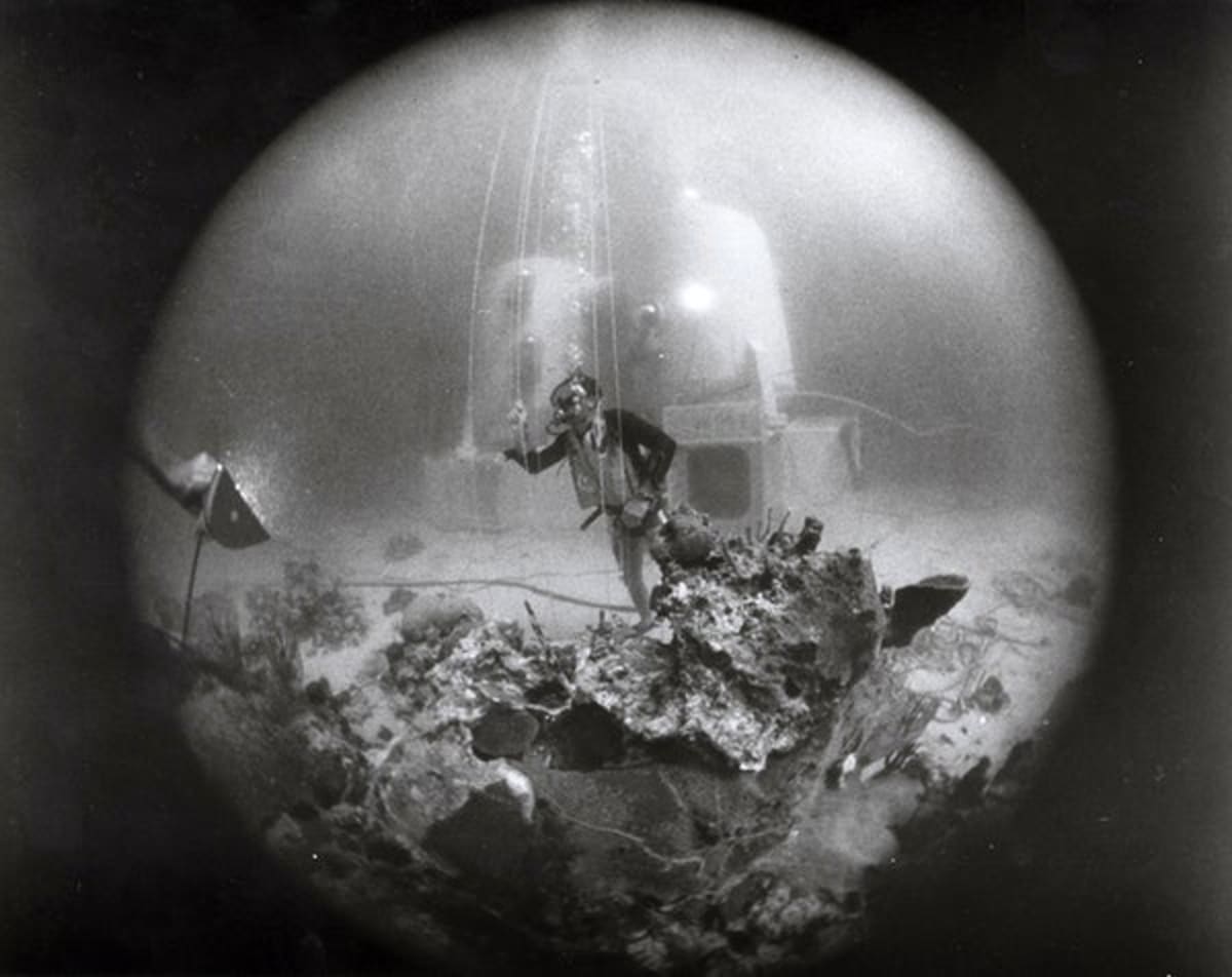 Scientists Discover 'Underview Effect' in Underwater Living - Image 2
