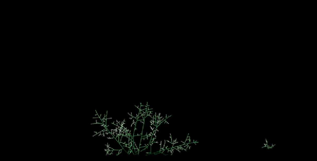 Hidden Fungal Network Could Stretch to Nearest Star - Image 4