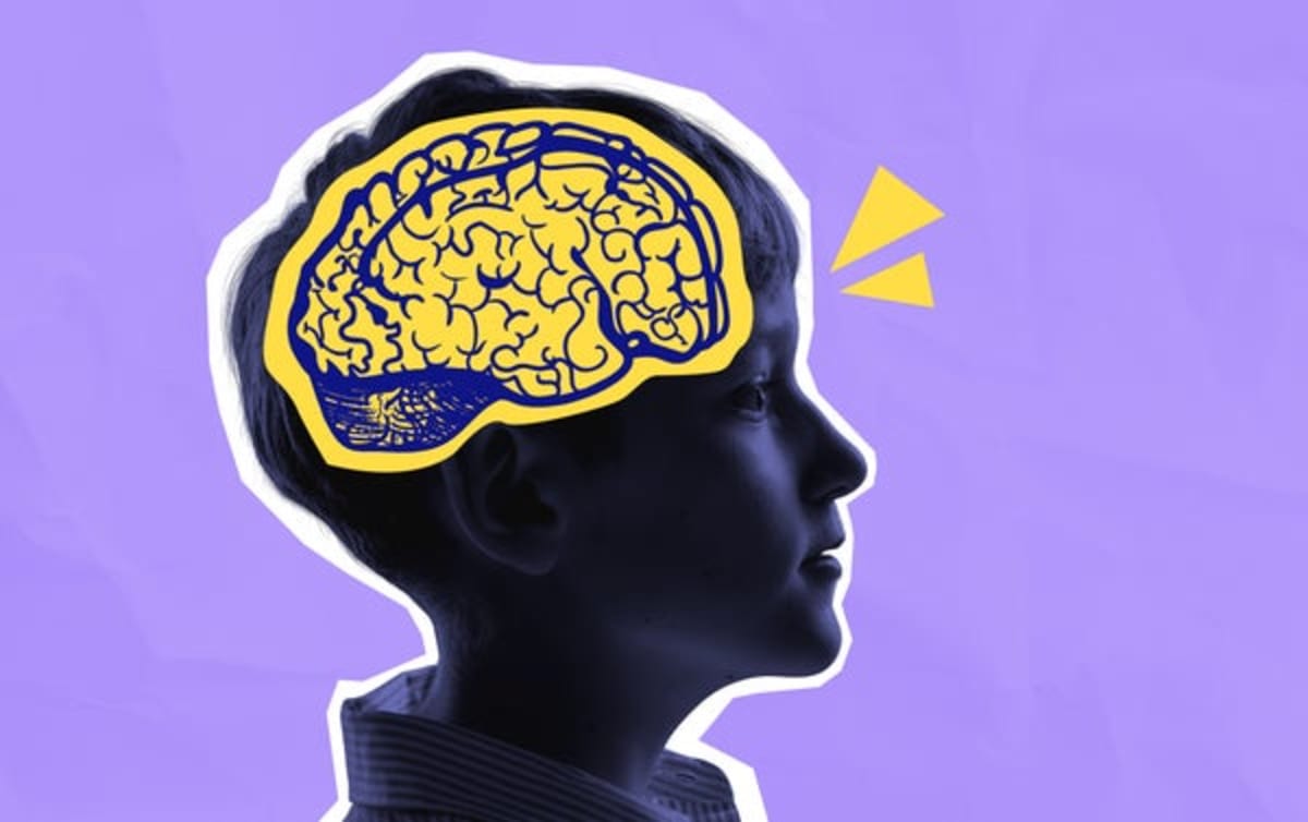 Your Zip Code Changes Your Child's Brain, Study Finds - Image 2