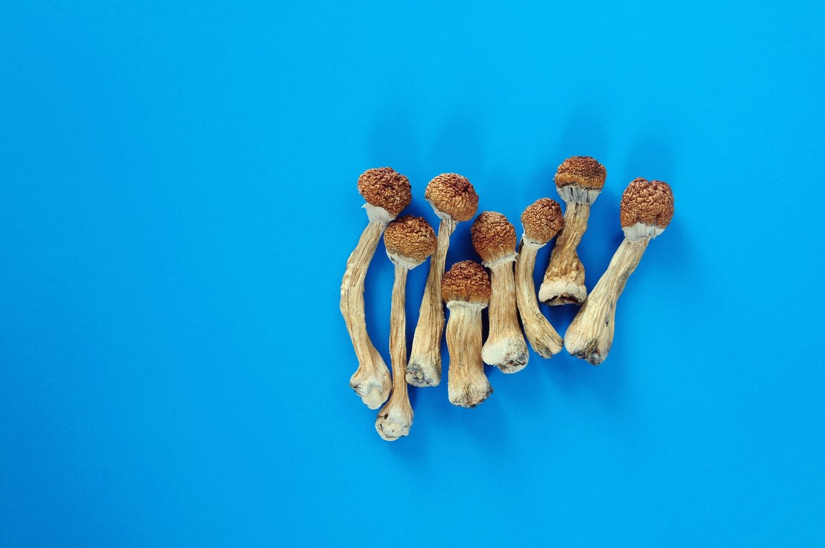 Americans Back Medical Psychedelics Research, Survey Finds