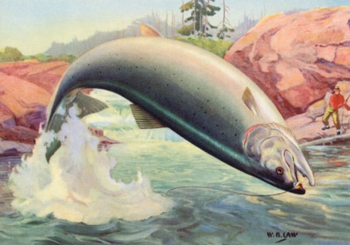 100+ NASA Astronauts Unite for Constitutional Values - Image 2