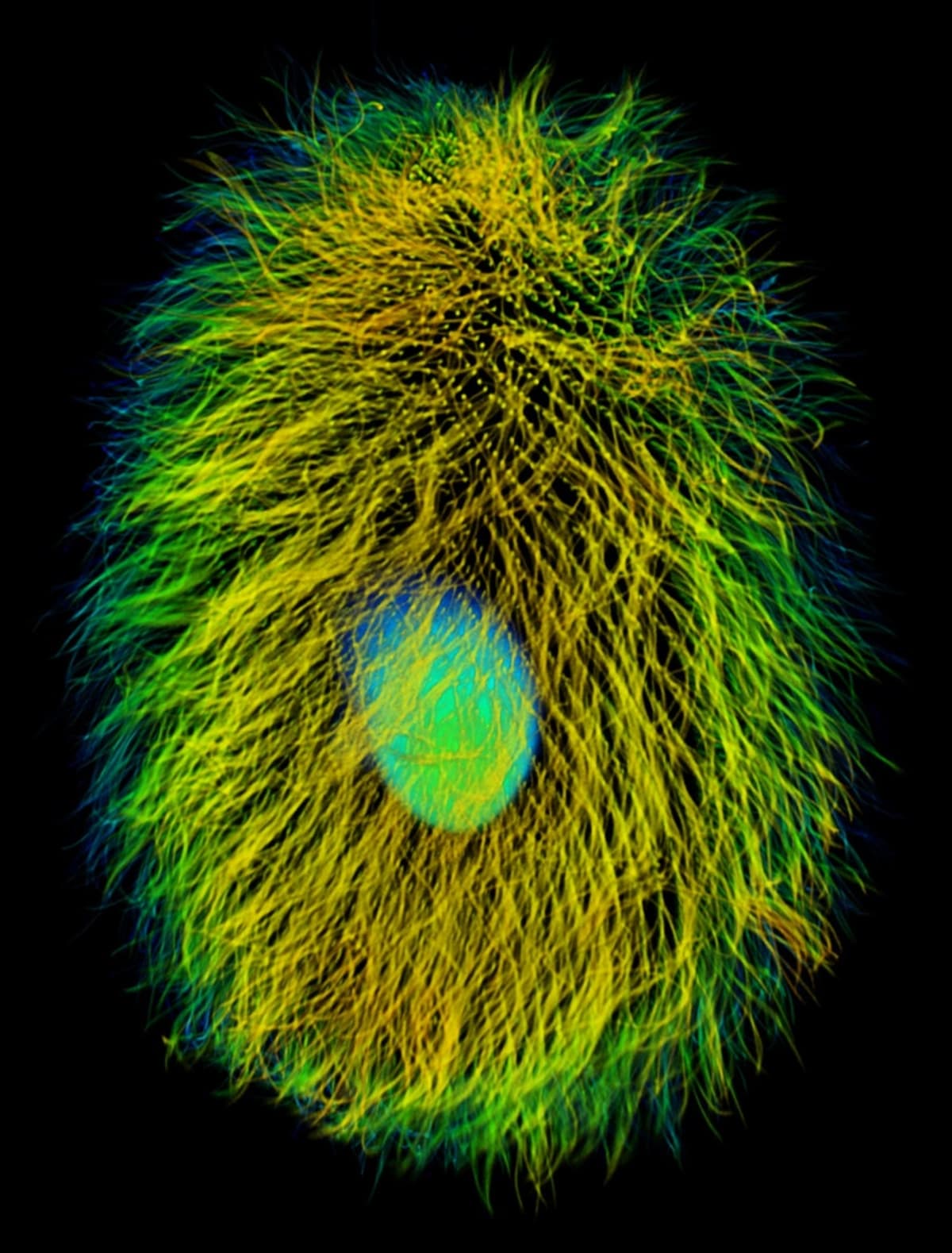 Scientists Find Key to Cutting Cow Methane by 15% - Image 4