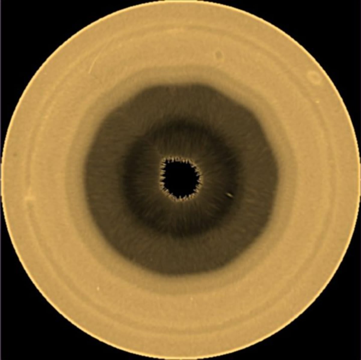 Saturn's New 10-Sided Wave Baffles Scientists