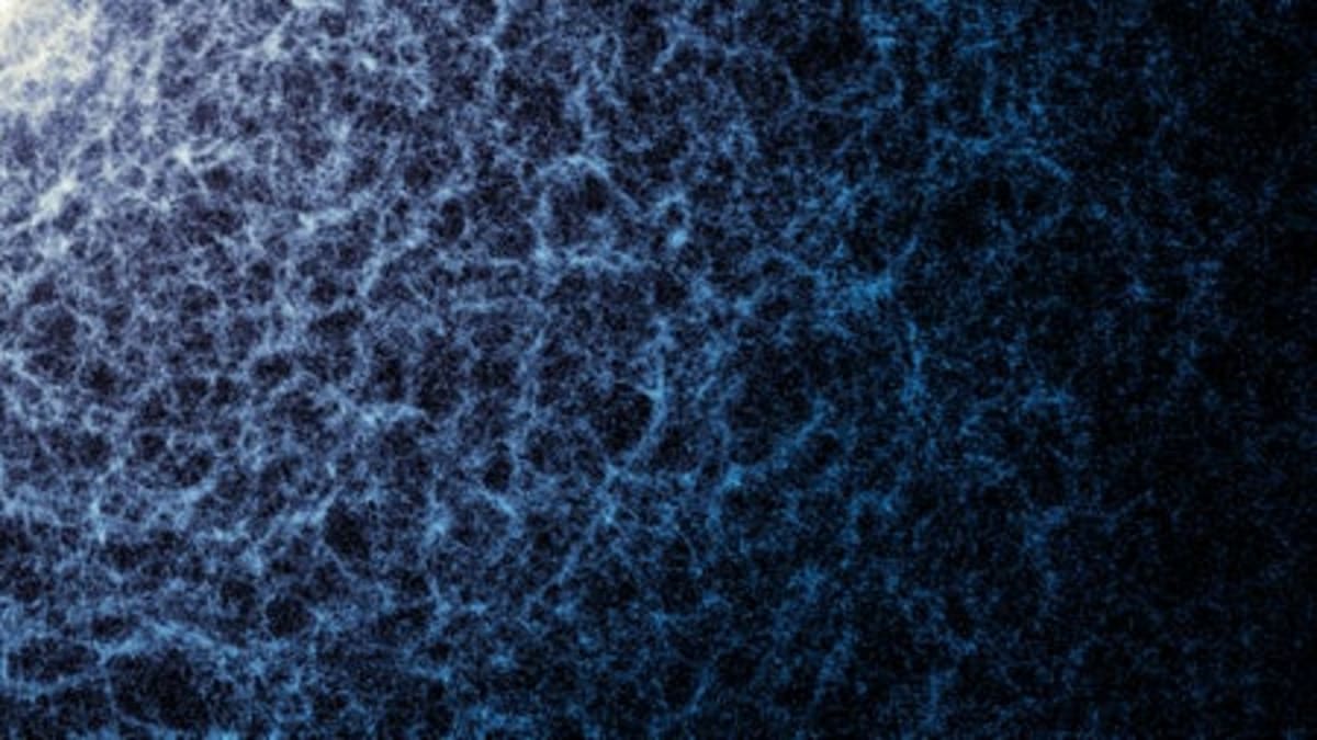 Scientists Solve Mystery: Why Birds Survived the Dinosaurs - Image 5