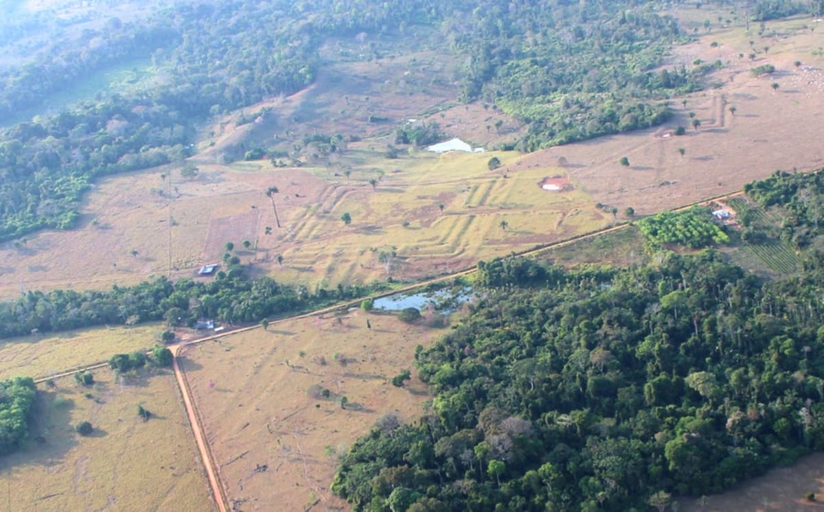 Amazon Hides 24,000 Ancient Structures, Study Reveals - Image 3