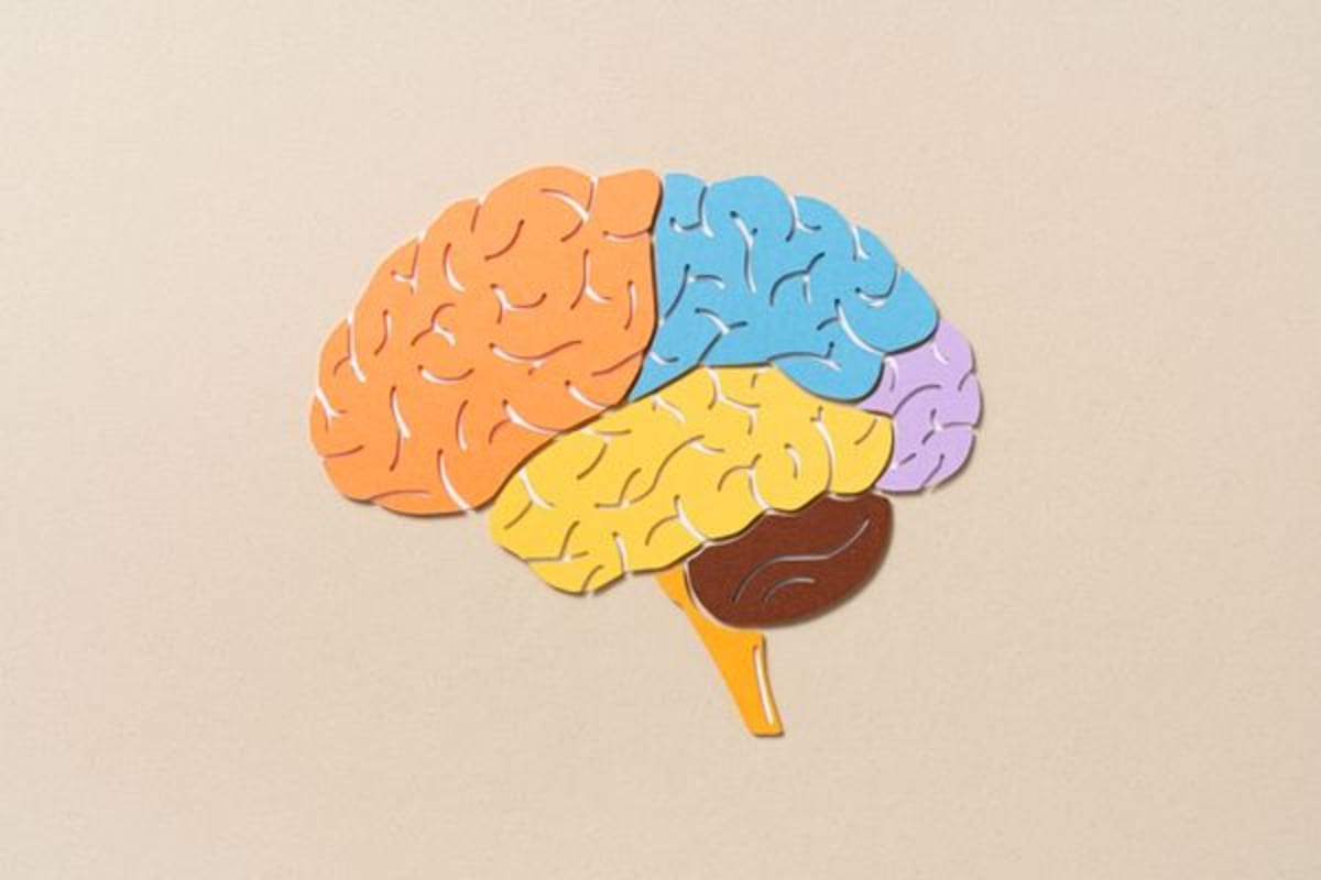 Brain-Inspired Chips Use 10,000x Less Energy Than Standard - Image 2