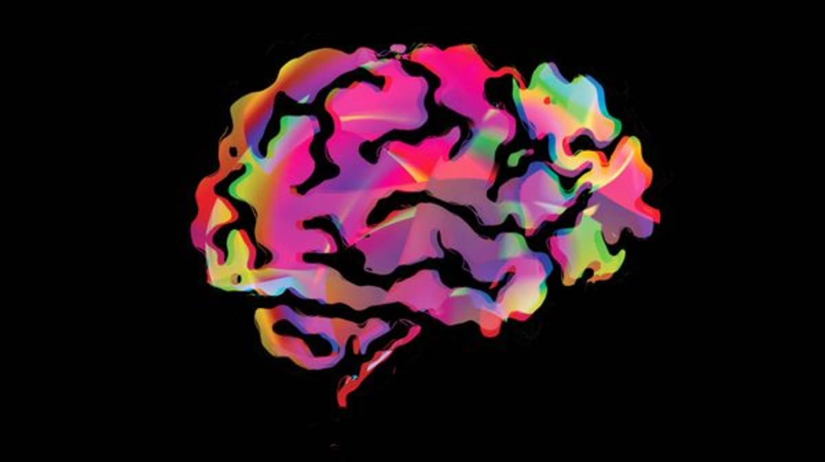 Estrogen Therapy Linked to Lower Alzheimer's Risk - Image 2