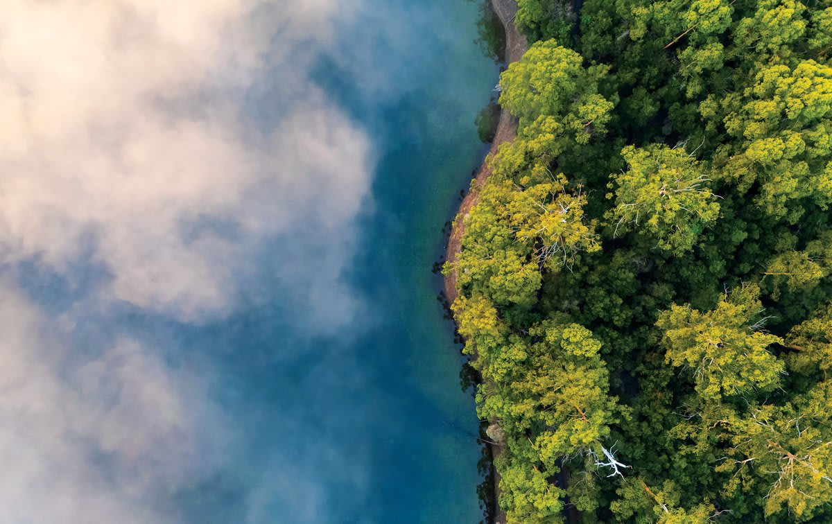 Scientists Discover Microbes Thriving in Fog Droplets