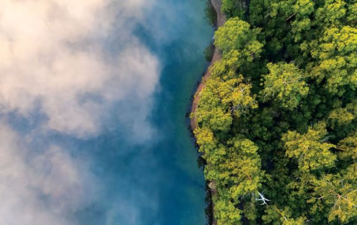 Scientists Discover Microbes Thriving in Fog Droplets - Image 2