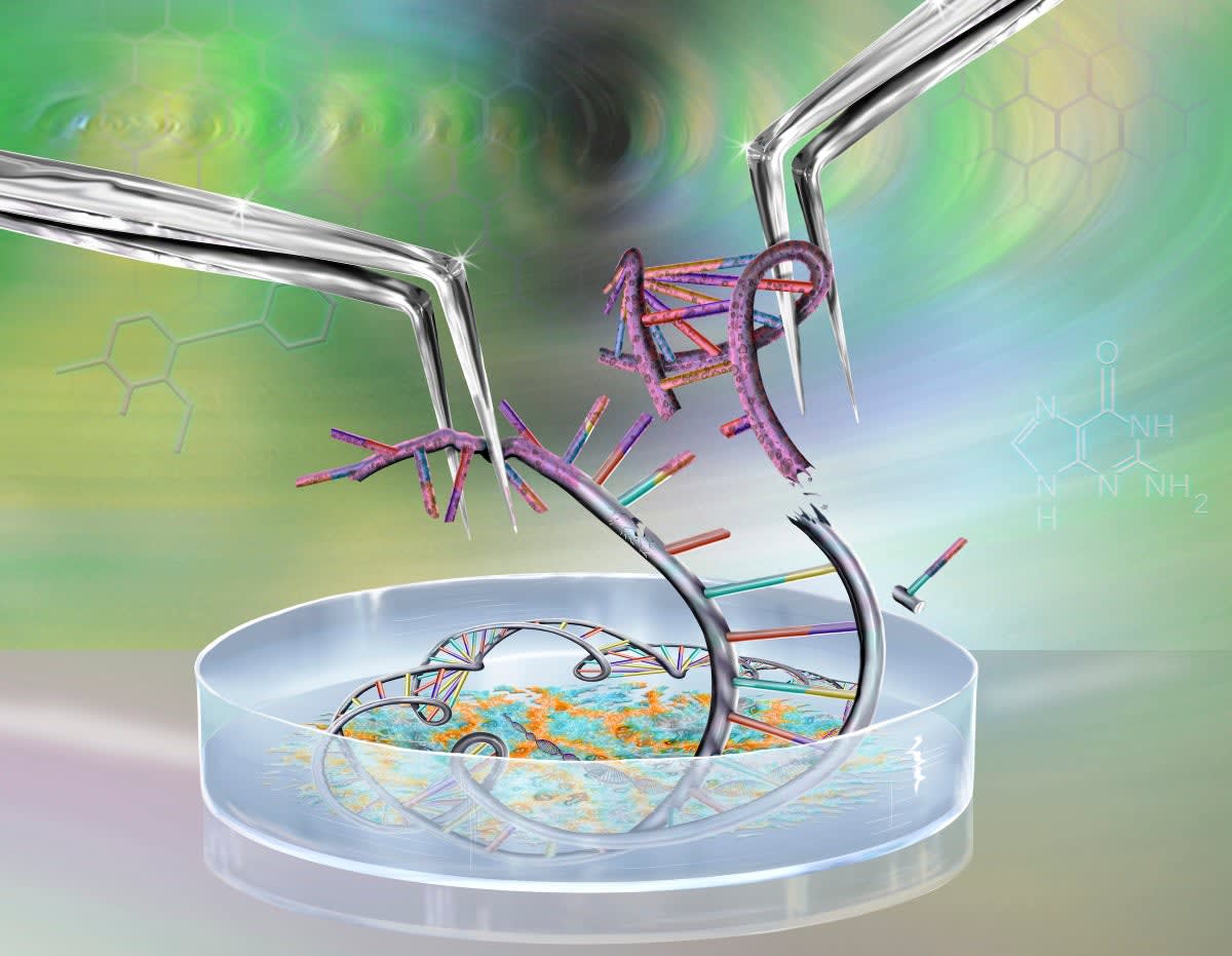 CRISPR Targets Rare Muscle Disease Without Changing DNA
