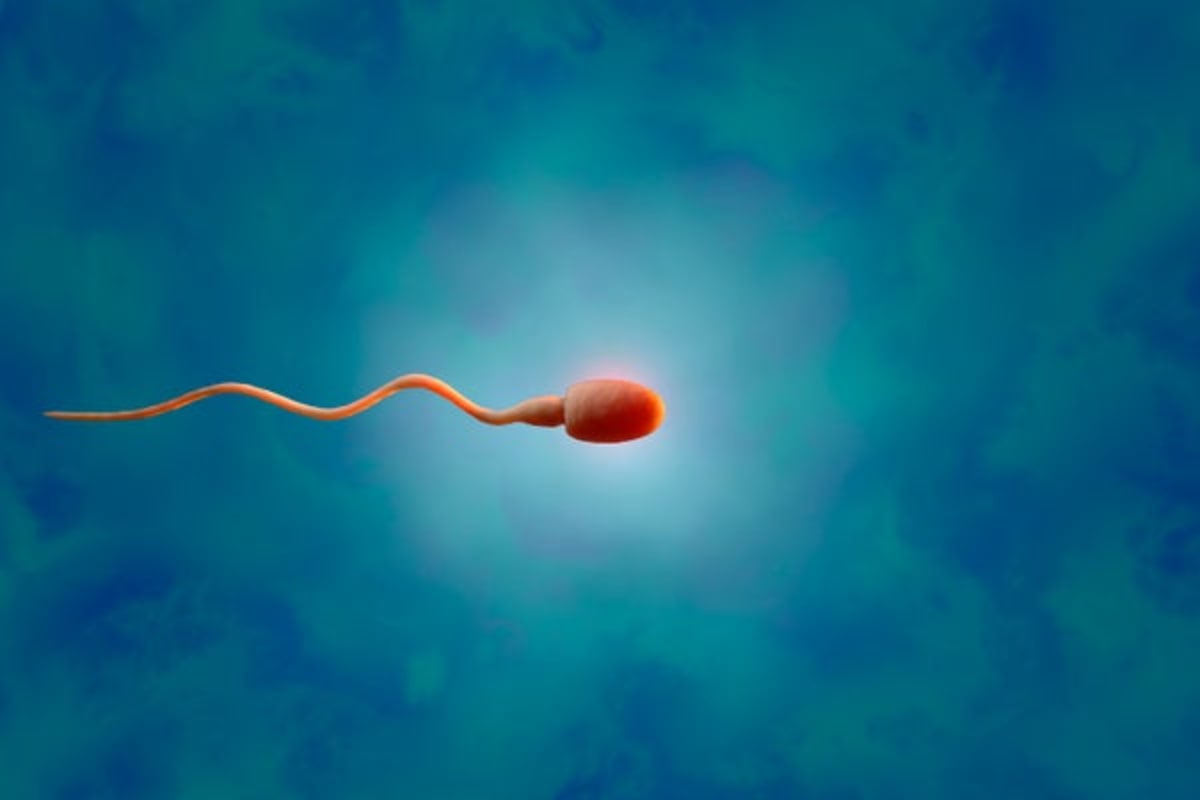 Doctors Grow Sperm from Frozen Testicular Tissue - Image 2