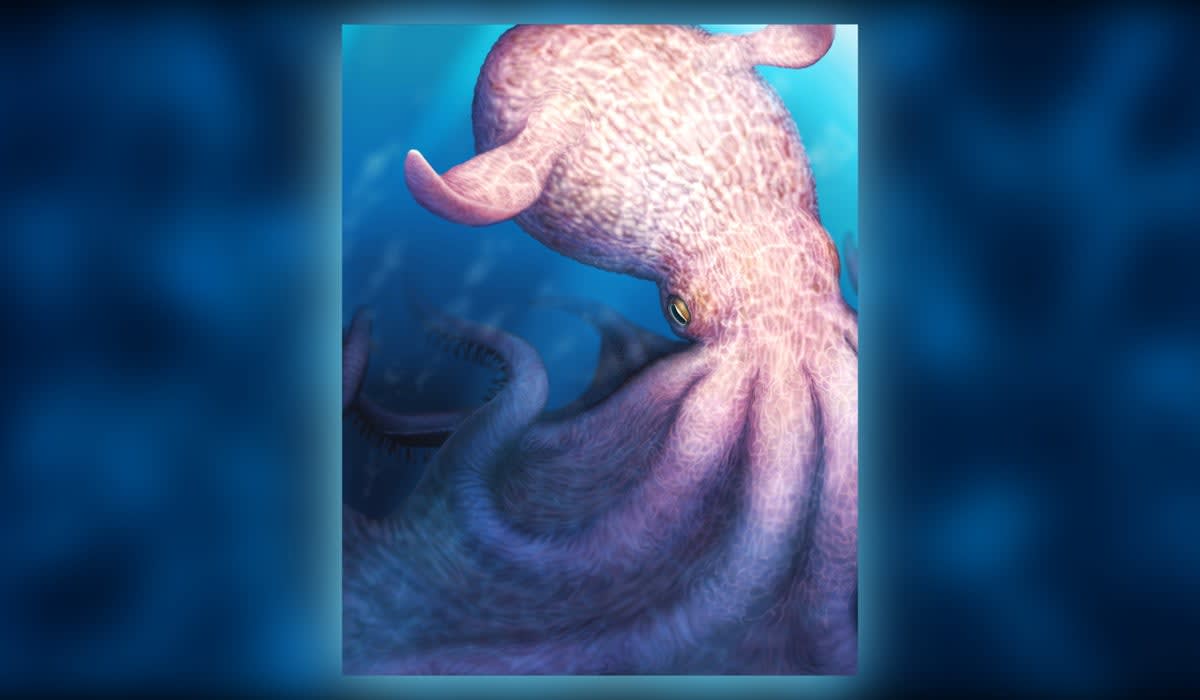 Bus-Sized Octopuses Ruled Prehistoric Seas 100M Years Ago