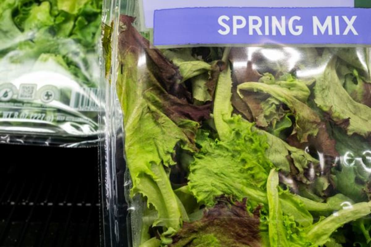 15,000-Case Lettuce Outbreak Finally Slowing Down - Image 2