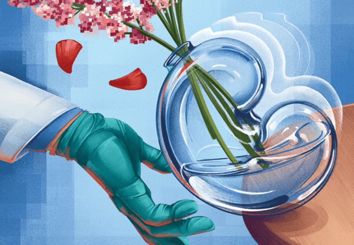 New Alert System Cuts Kidney Injuries in Kids by 42% - Image 2