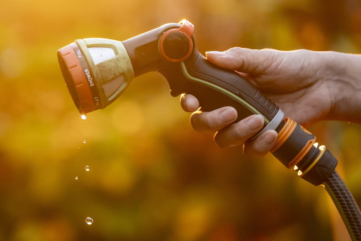 UK Gardeners Share 10 Simple Tips to Beat Hosepipe Bans - Image 3