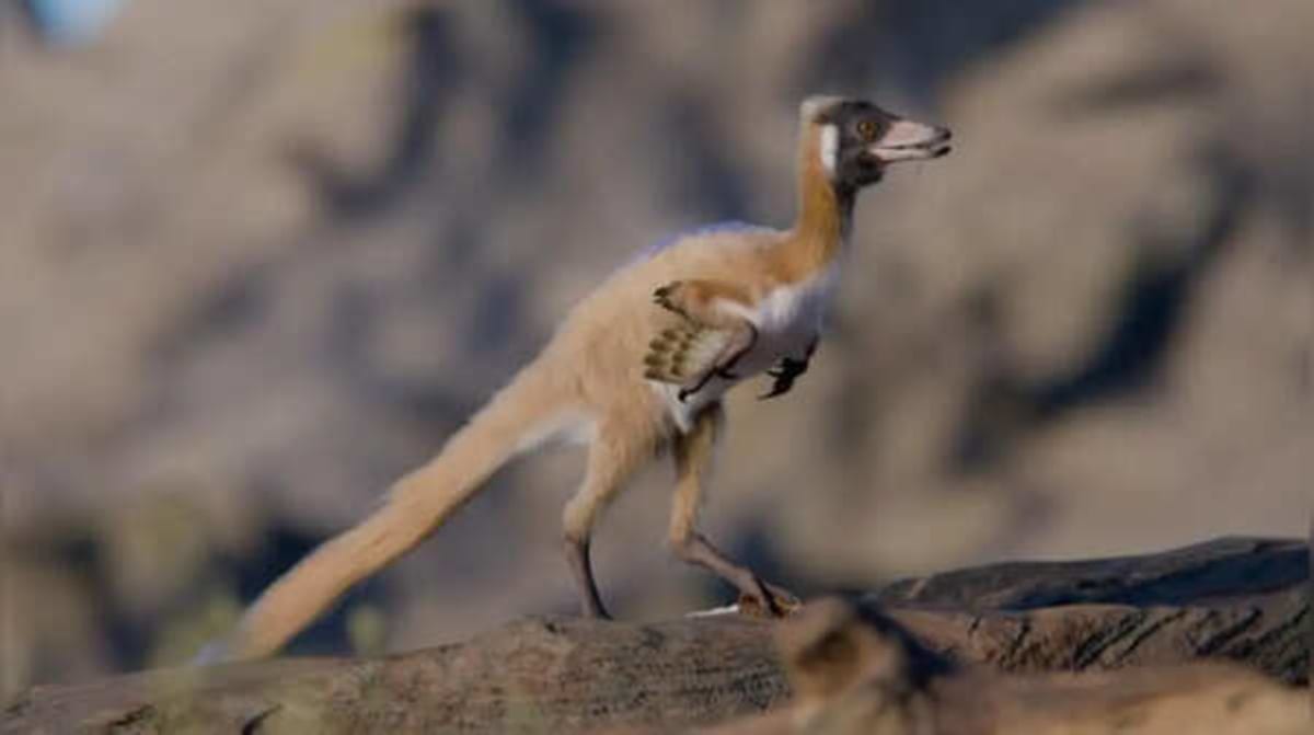 Crow-Sized Dinosaur Found in Argentina's Ancient Desert - Image 2