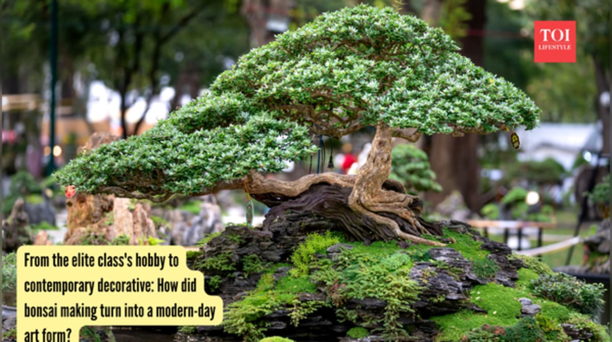 Ancient Bonsai Art Now Thrives in Modern Homes Worldwide - Image 2