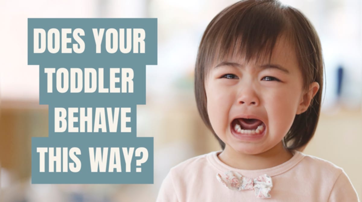 Pediatrician: 5 Frustrating Toddler Behaviors Are Normal - Image 2