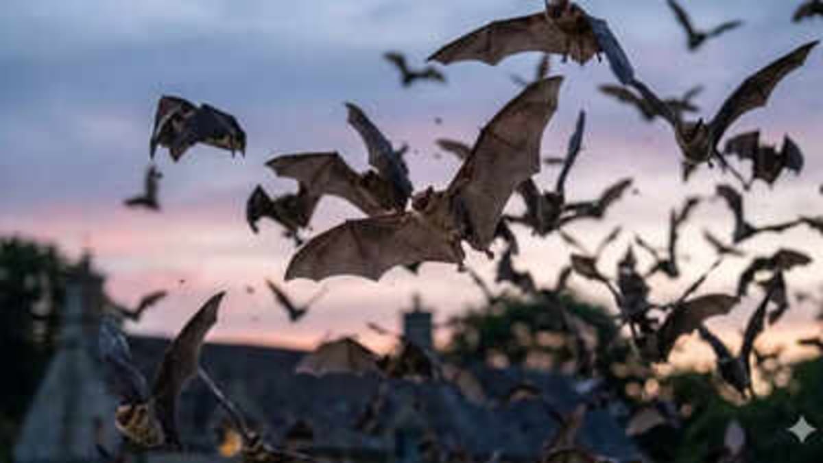 Bats in Your Garden Signal a Thriving Ecosystem - Image 2