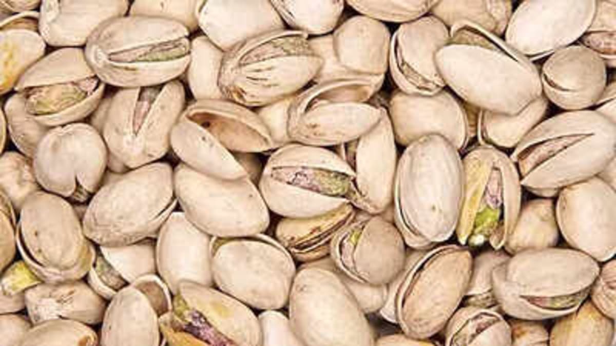 Growing Pistachios at Home Is Easier Than You Think - Image 3