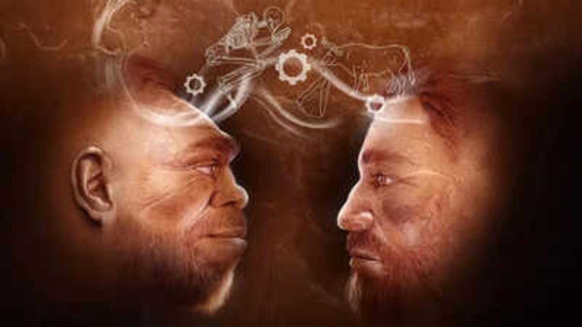 Neanderthals and Humans Teamed Up 110,000 Years Ago - Image 2