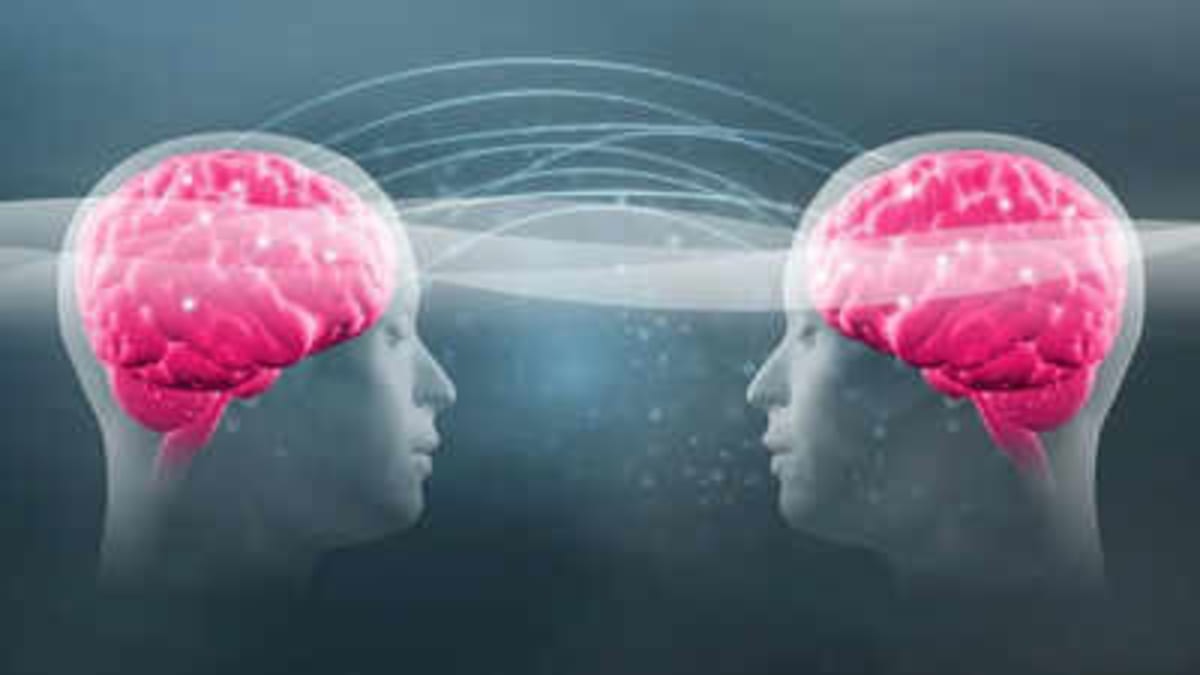 Twins Answer Same Questions Identically in 44M-View Video - Image 2