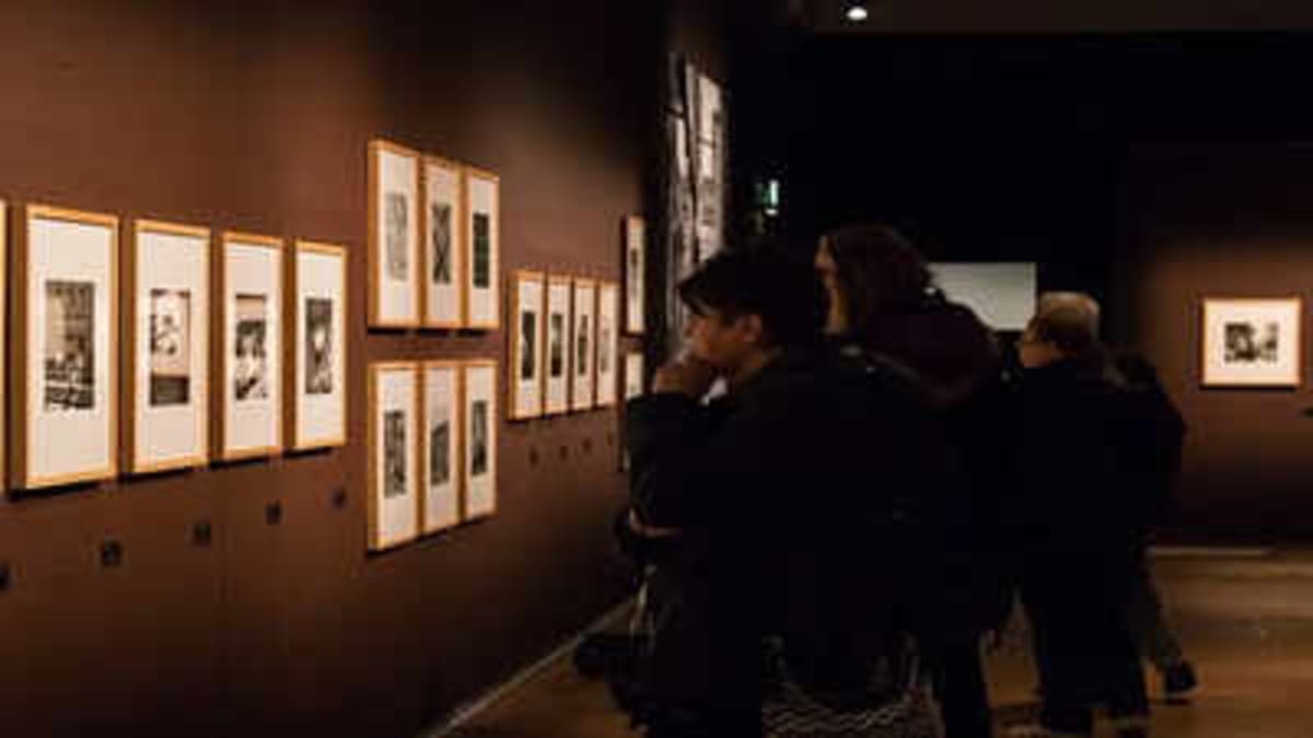 $380 Auction Box Revealed a Lost Photography Legend - Image 2