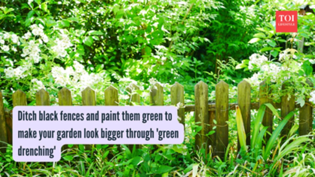 Green Fences Make Small Gardens Feel Bigger in 2026 - Image 2