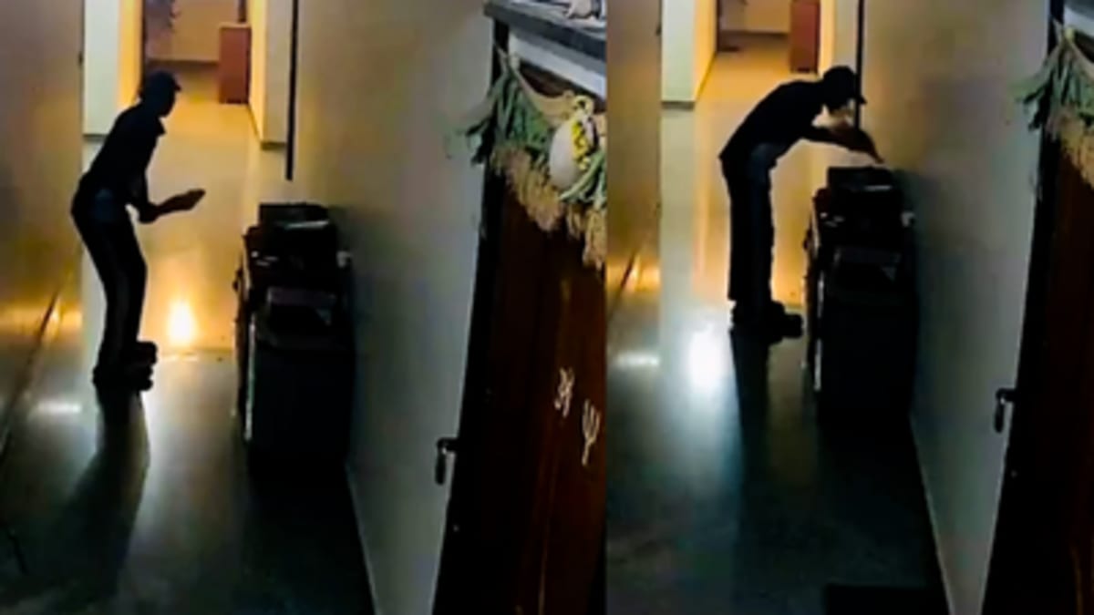 Delivery Worker's Bat Kiss Rekindles Dreams Left Behind - Image 2