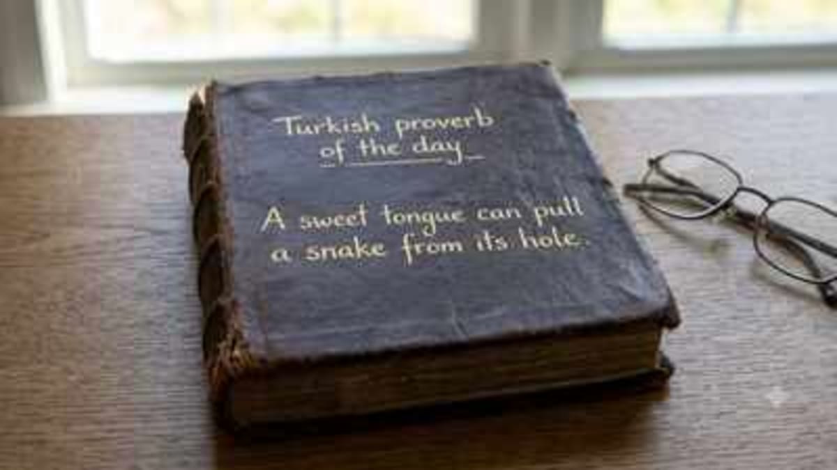Turkish Proverb: Kind Words More Powerful Than Force - Image 3