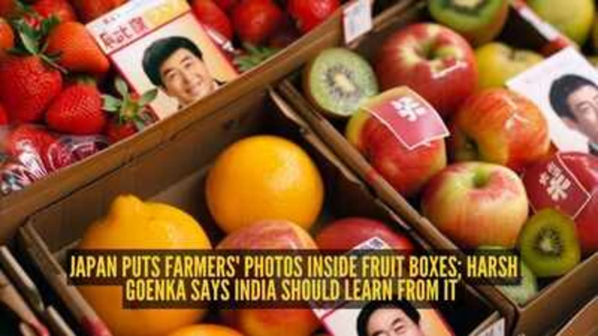 Japanese Farmers Put Photos in Fruit Boxes to Build Trust - Image 2