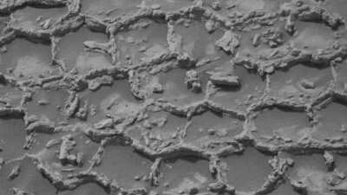 NASA Rover Finds Honeycomb Pattern on Mars After 14 Years - Image 2