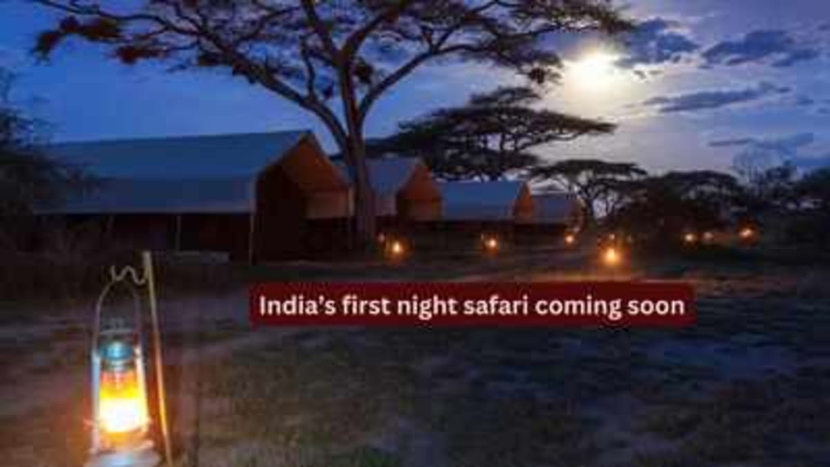 India's First Night Safari Opens in Lucknow This Year - Image 2