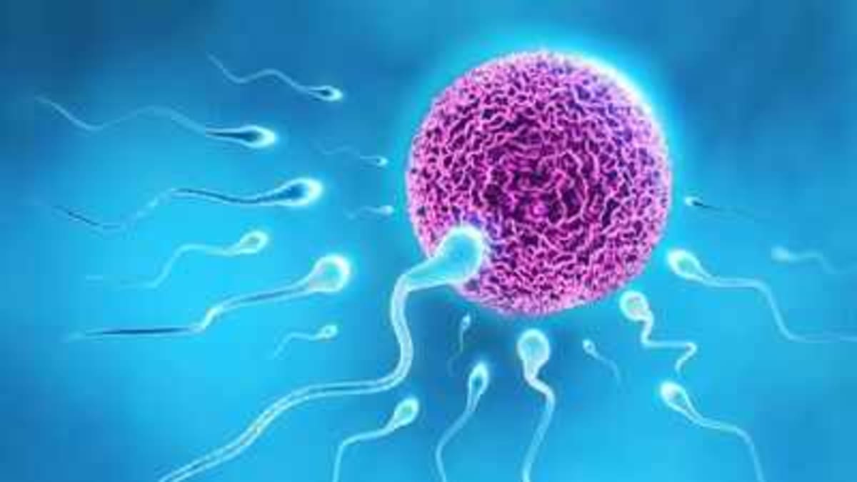 IVF Turns 48: Millions of Families Created Since 1978 - Image 2