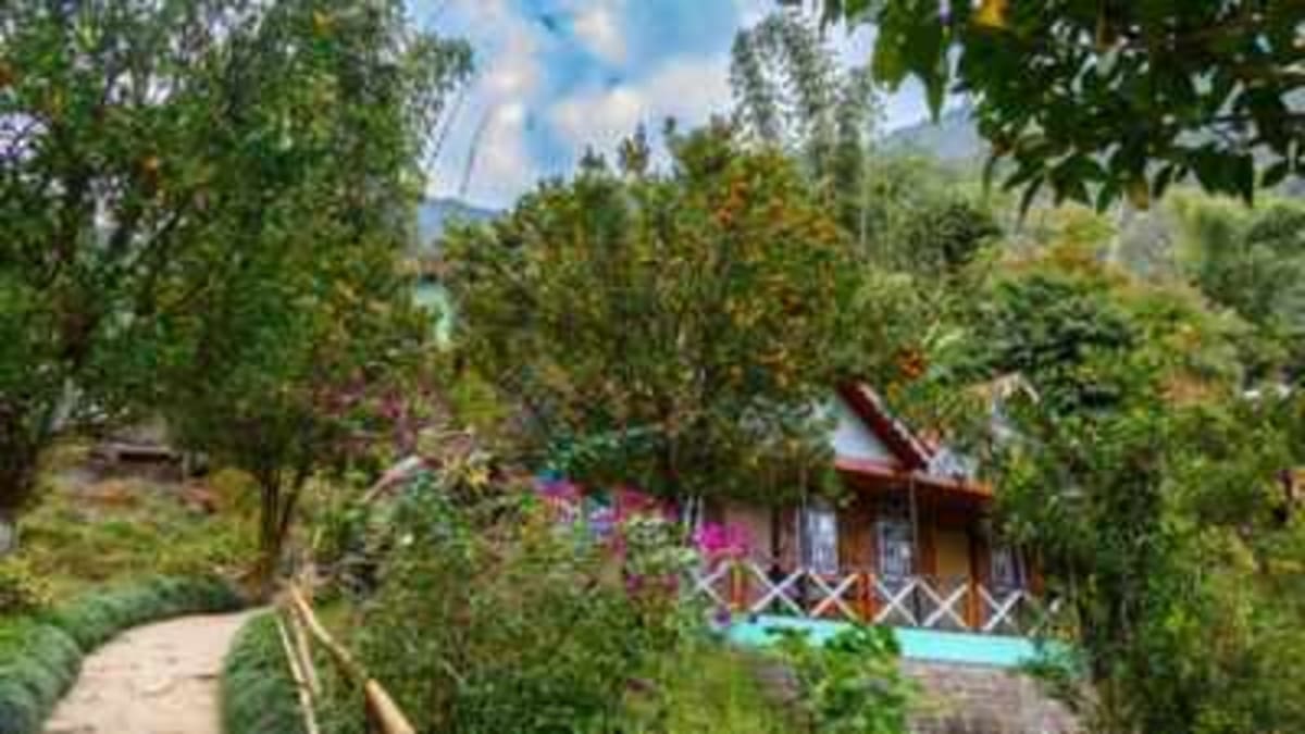 Kashmir Farmer Grows 100 Crops on His Rooftop, Earns $1K - Image 2