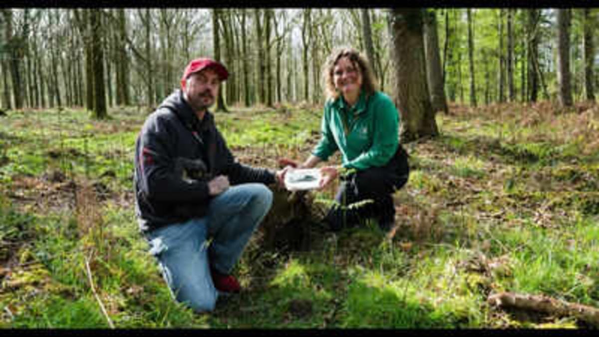 Man Finds 3,400-Year-Old Bronze Axe on Dog Walk - Image 2