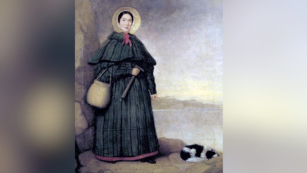 Young Fossil Hunter Revealed Ancient Oceans to Science - Image 2