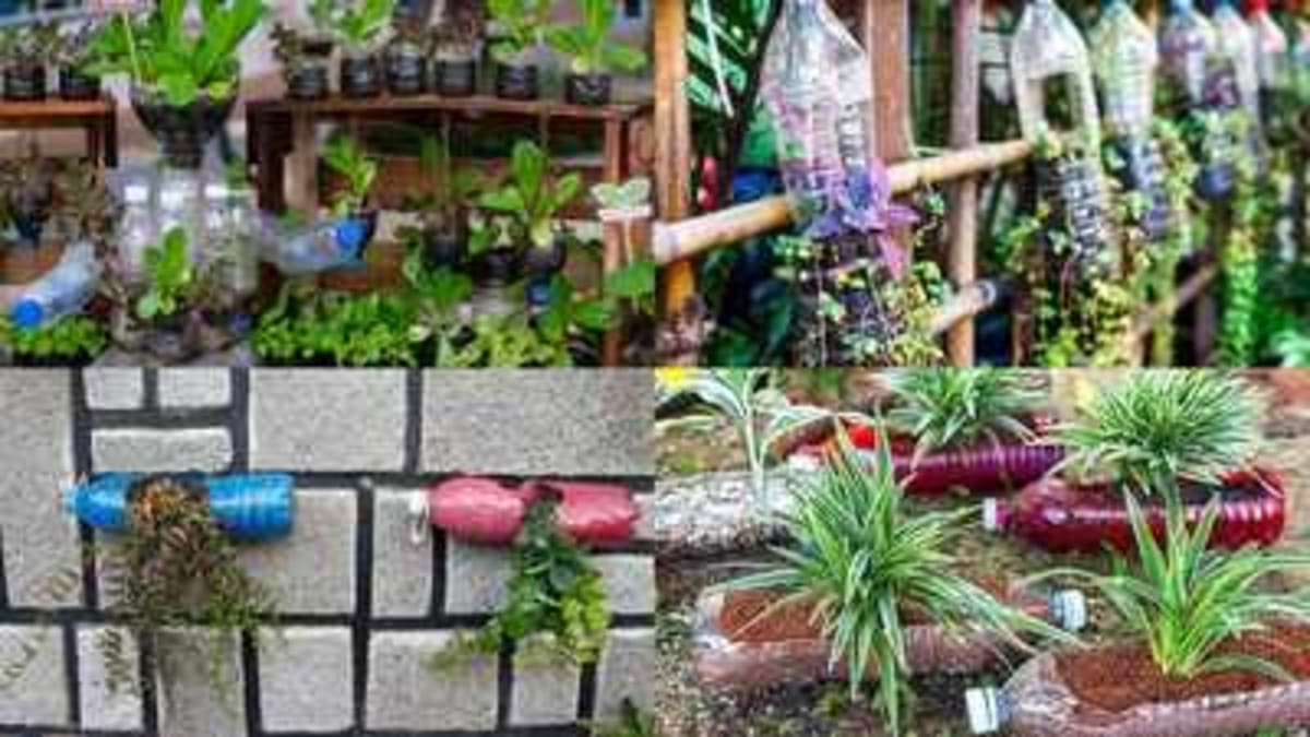 5 Ways to Turn Plastic Bottles Into a Thriving Garden - Image 2