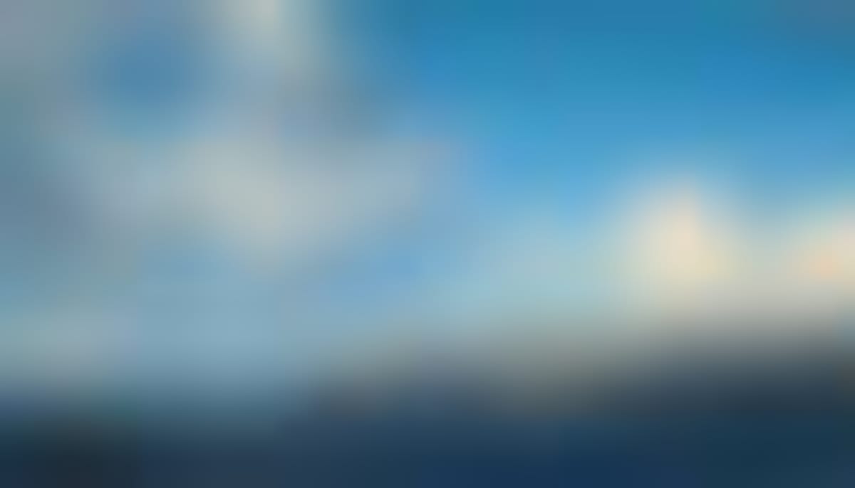 Island Declared Ferret Free in World-First Conservation Win - Image 4