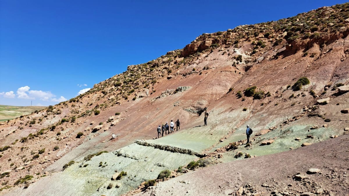 Ancient fossilized lizard footprints preserved in rock formation in Morocco's Tinghir Province