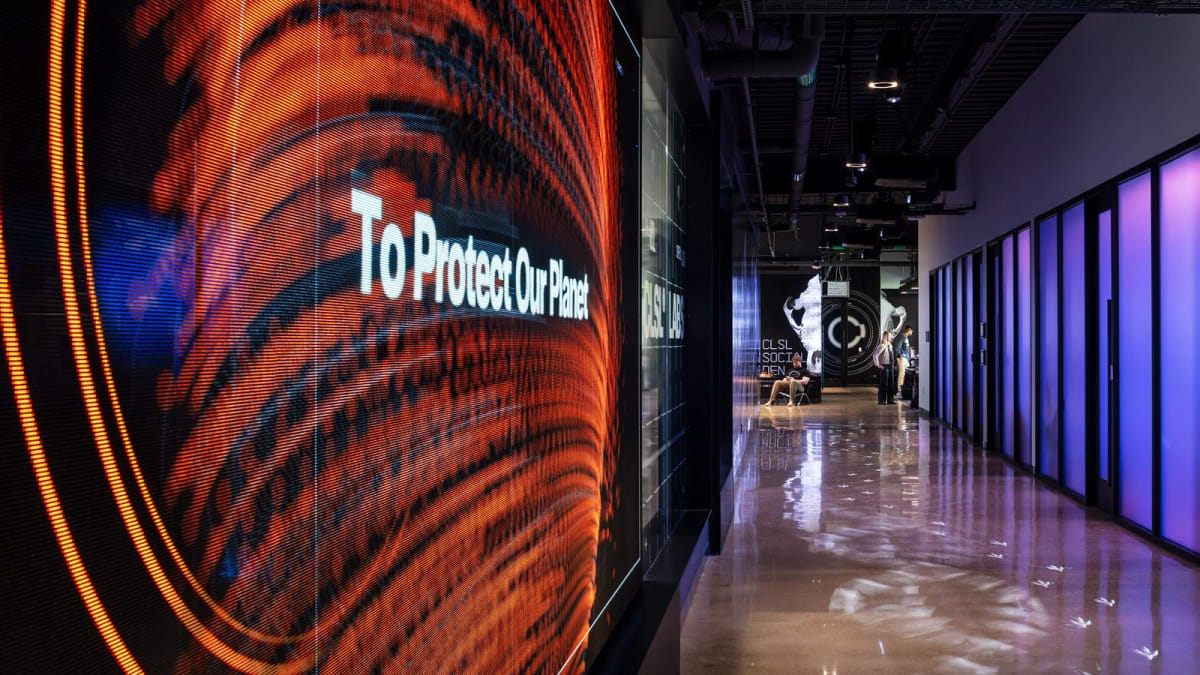 Neka Kayda, the world's first cloned red wolf, at five months old