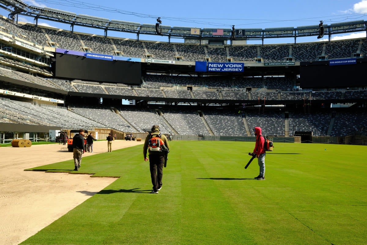 World Cup Pitch: 27 Trucks, 10-Hour Shifts for Perfect Turf - Image 2