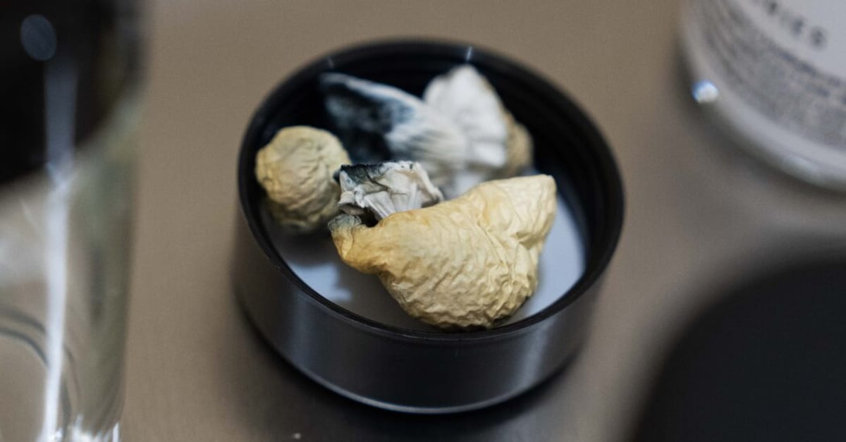 Medical researcher in lab examining psychedelic compounds for mental health treatment applications