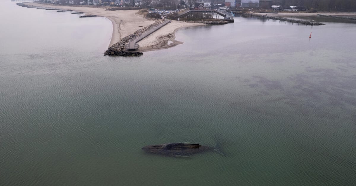 German Rescuers Dig Channel to Save Stranded 40-Foot Whale