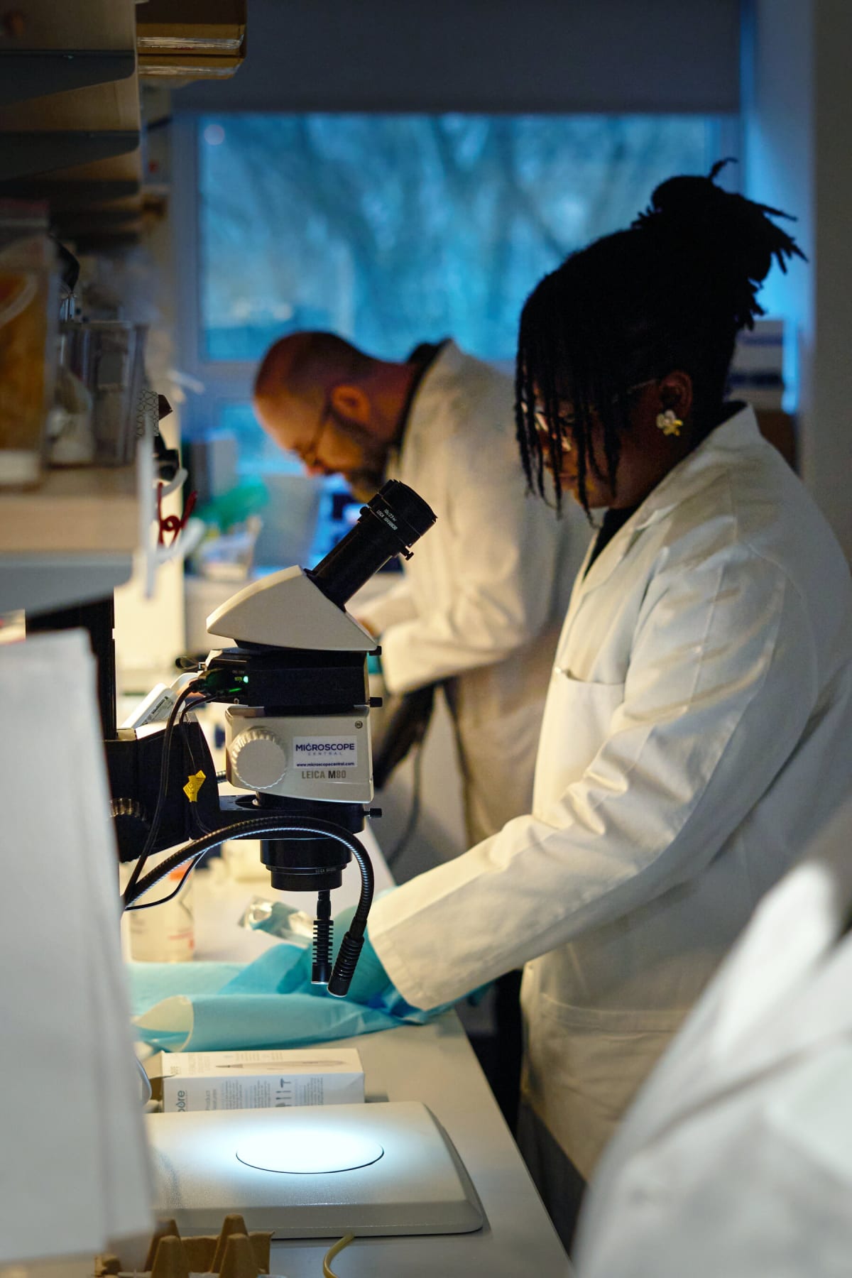 Biotech Turns Chicken Eggs Into Affordable Drug Factories - Image 4