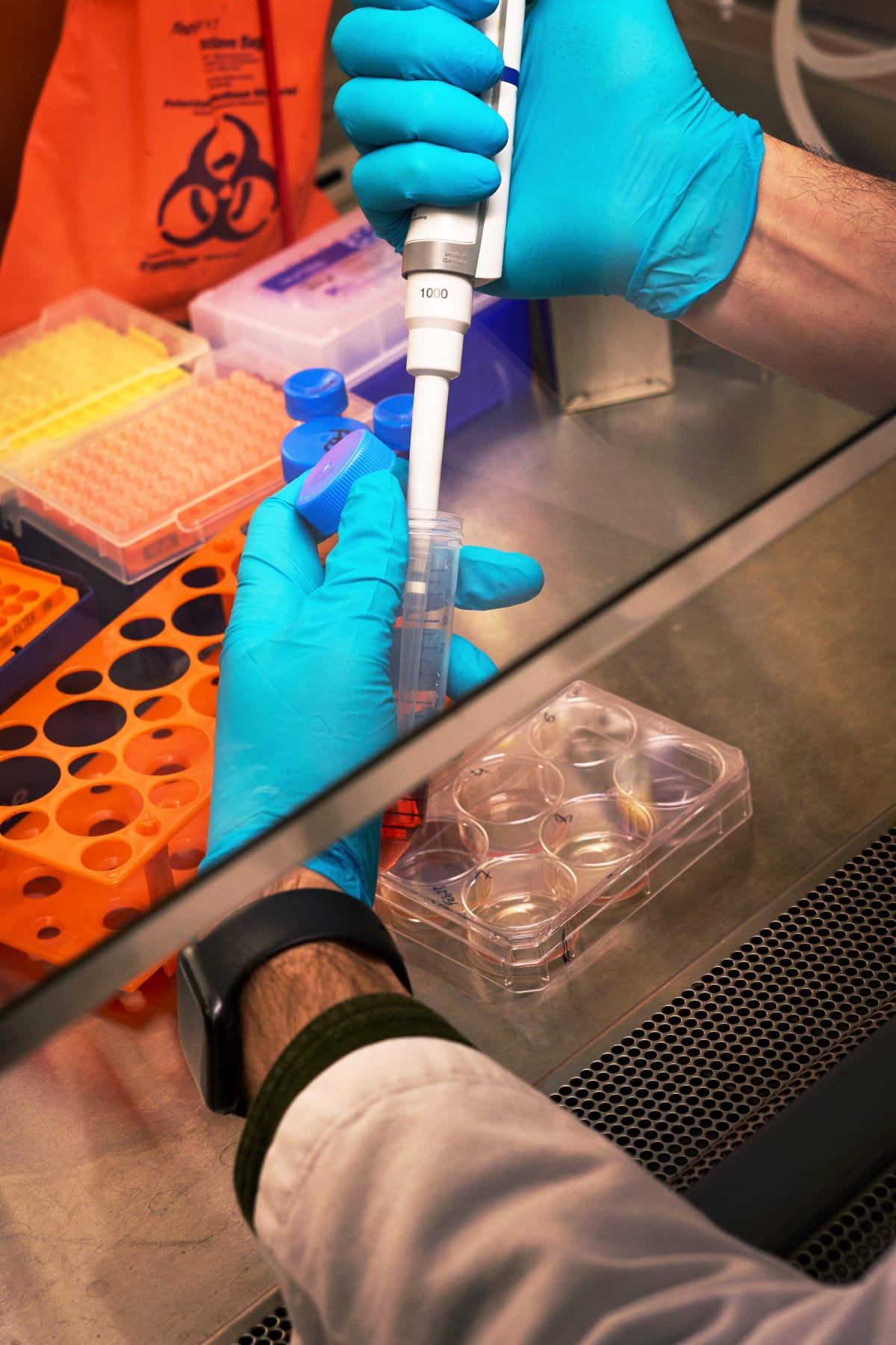 Biotech Turns Chicken Eggs Into Affordable Drug Factories - Image 3