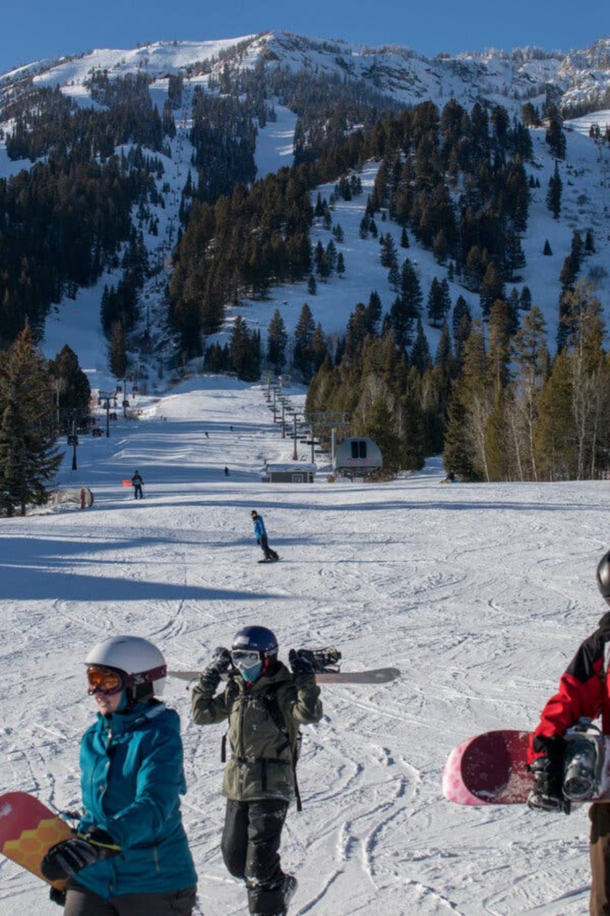 Meet Baggs: Training to Save Lives in Avalanche Rescues - Image 4