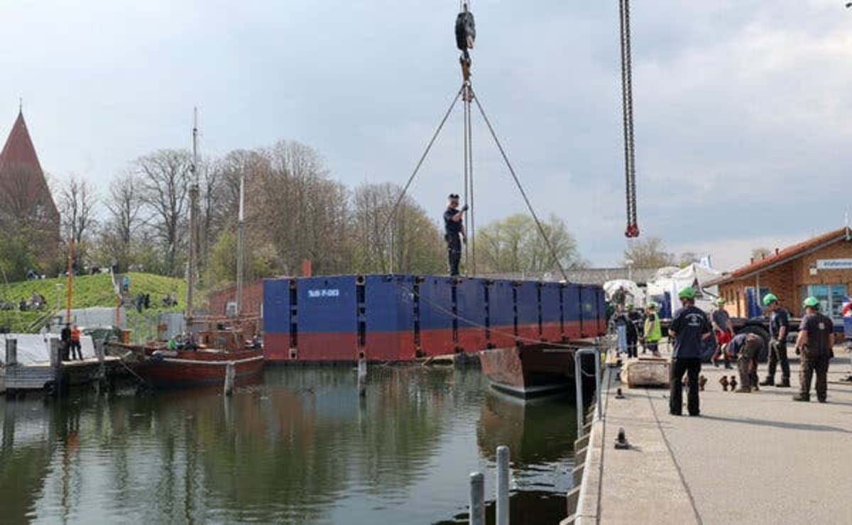 Germany Rallies to Save Stranded Whale Named Timmy - Image 3