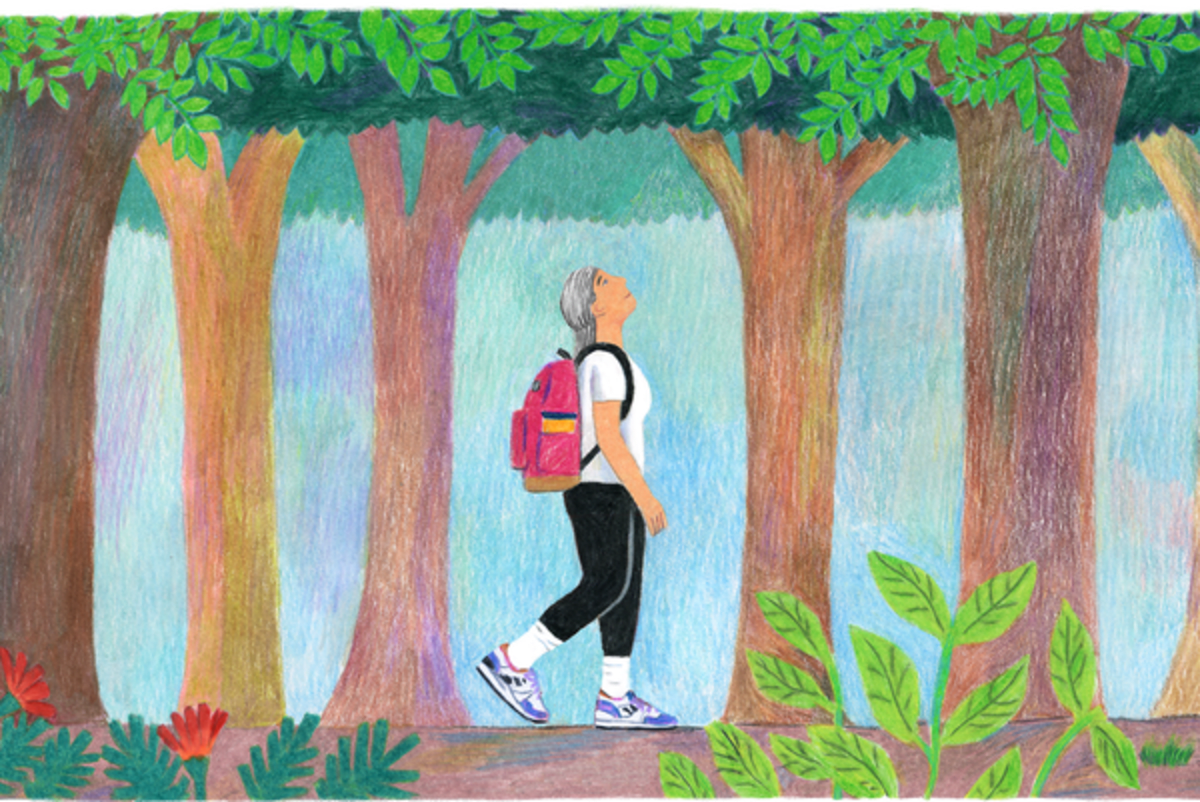 20 Minutes Outside Daily Boosts Health, New Challenge Says - Image 3